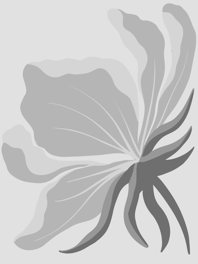 Clematis-Blume