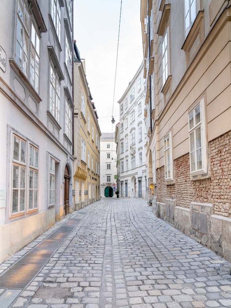 Cobblestone Street In Vienna 1