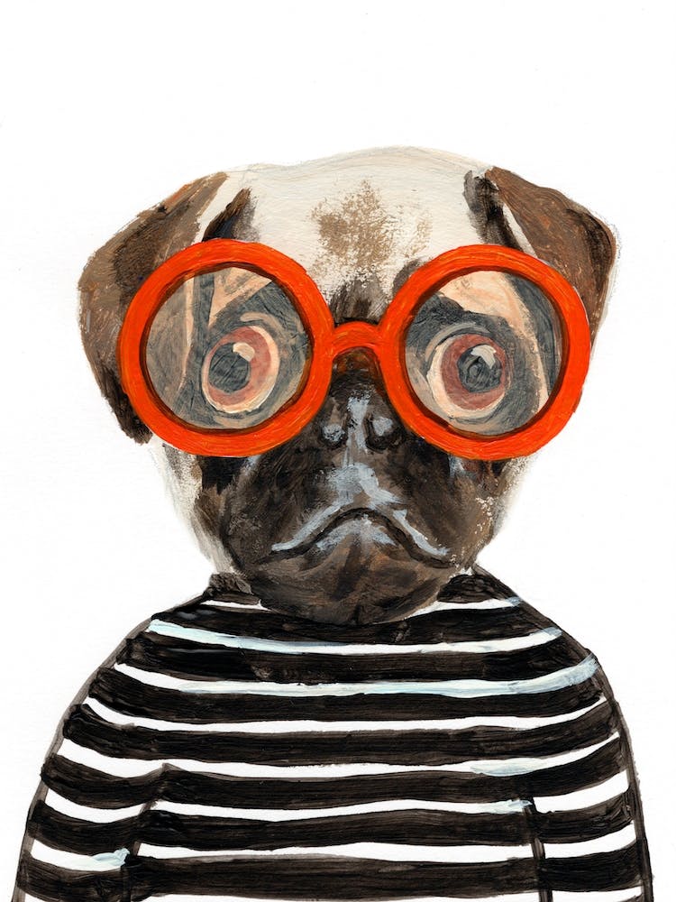 Pug With Orange Spectacles