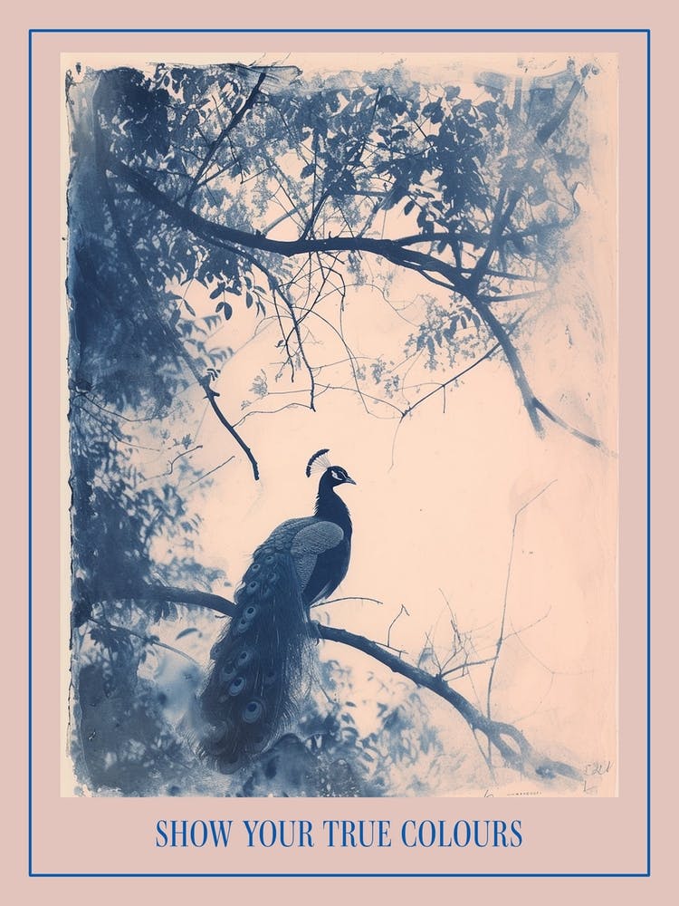 Cyanotype Inspired Peacock In The Tree 3 Poster