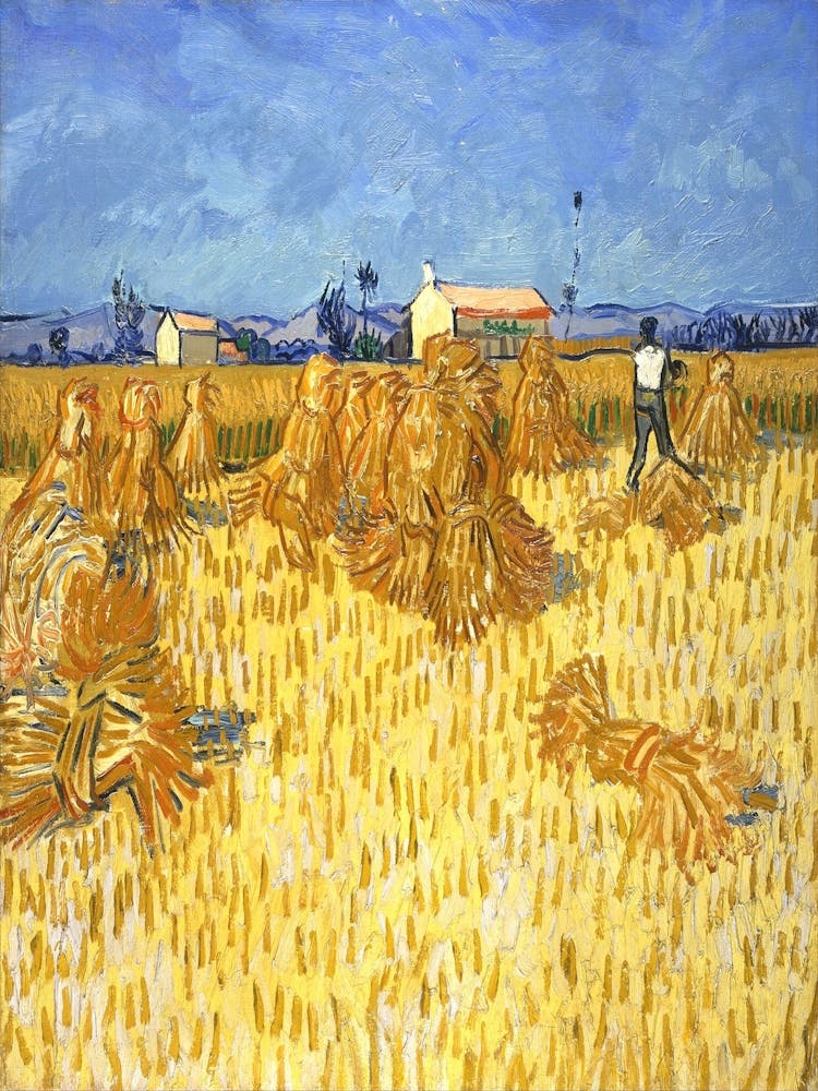 Hay Bales 1