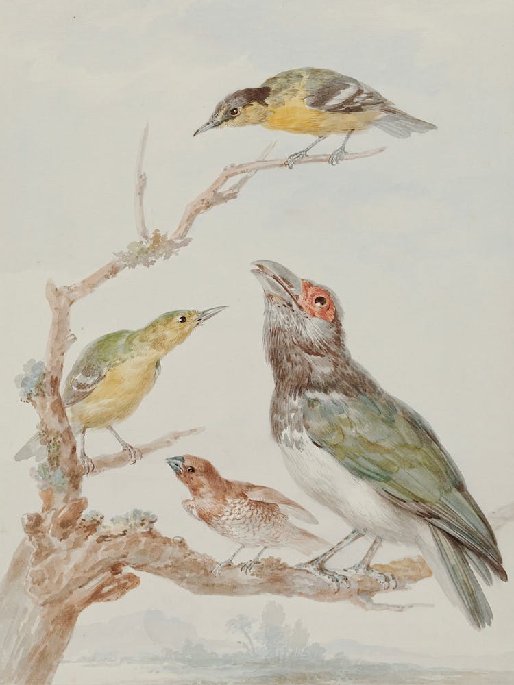 Three Birds Perched On A Branch 3