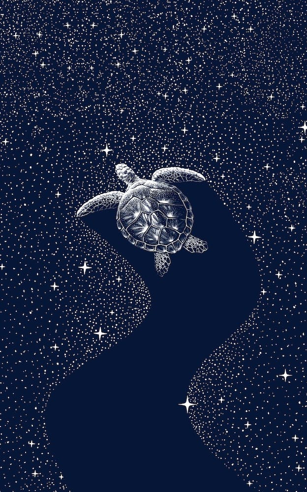 Starry Turtle
