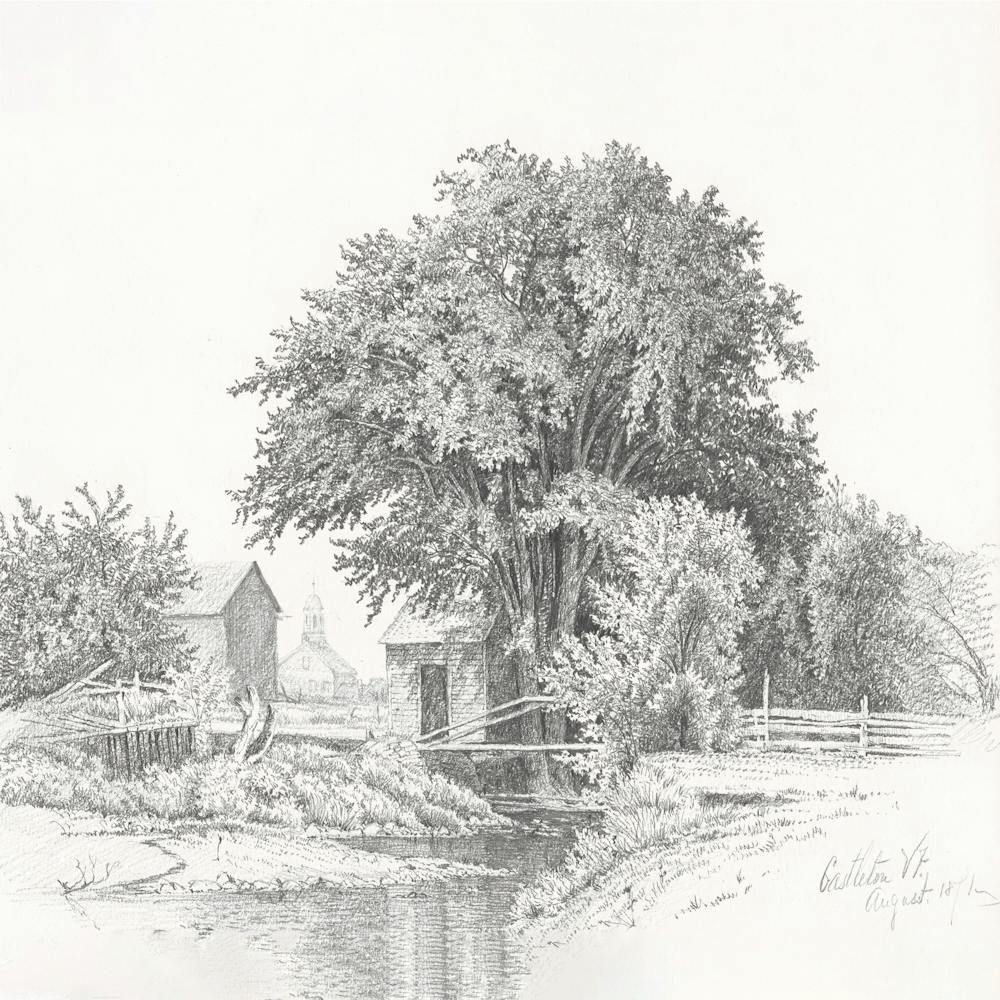 Tree By A Stream SKetch
