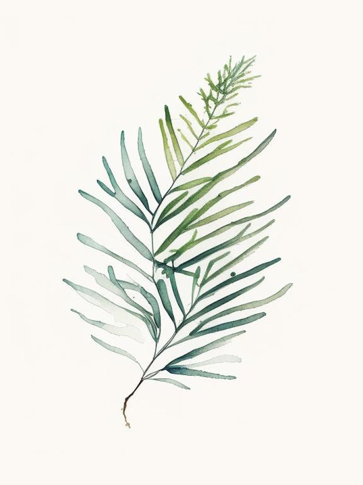 Yew Leaf Minimalist Watercolour 1