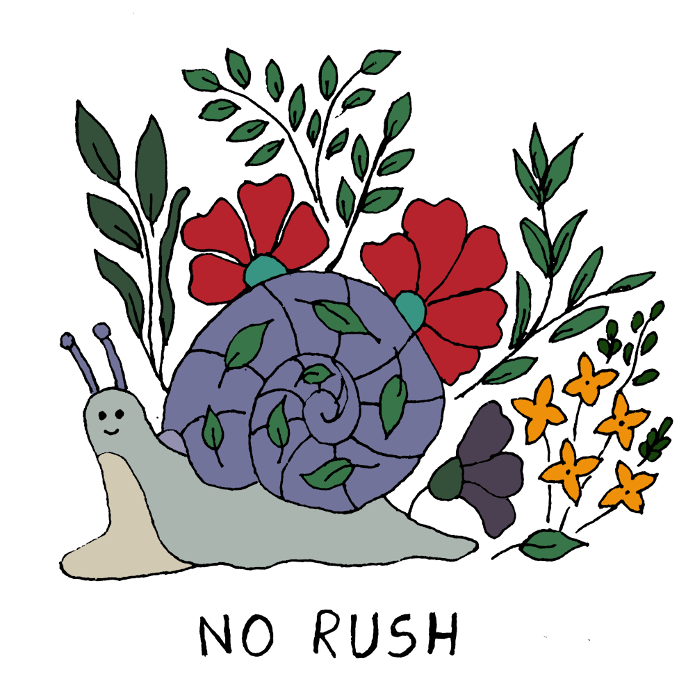 Snail With Flowers