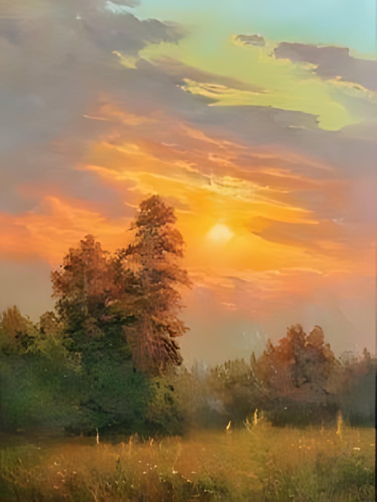 Sunset In The Meadow