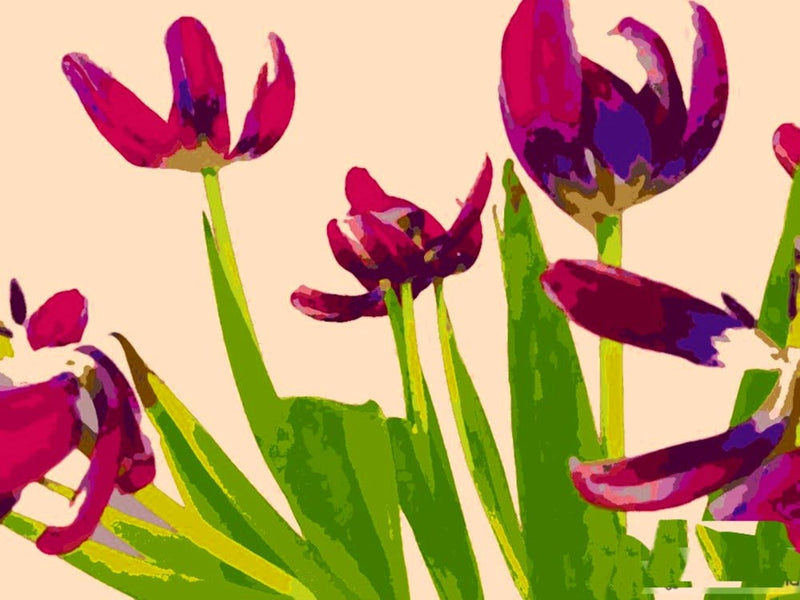 New Tulips Decay