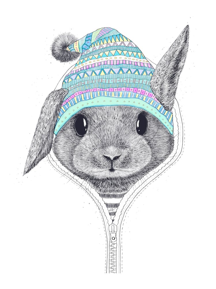 Rabbit In A Hood