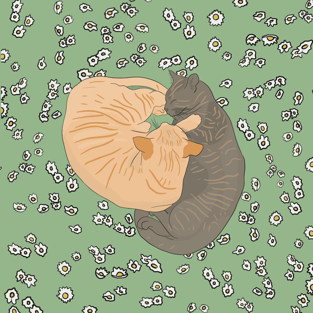 Beautiful cats chilling on a bed of white flowers - into the garden