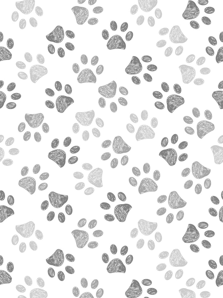 Grey Paw Prints