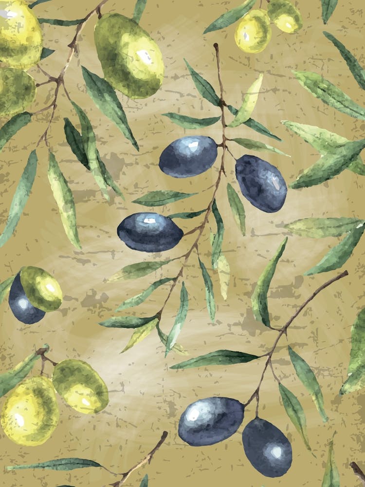 Olives On A Branch - olives poster, kitchen wall art