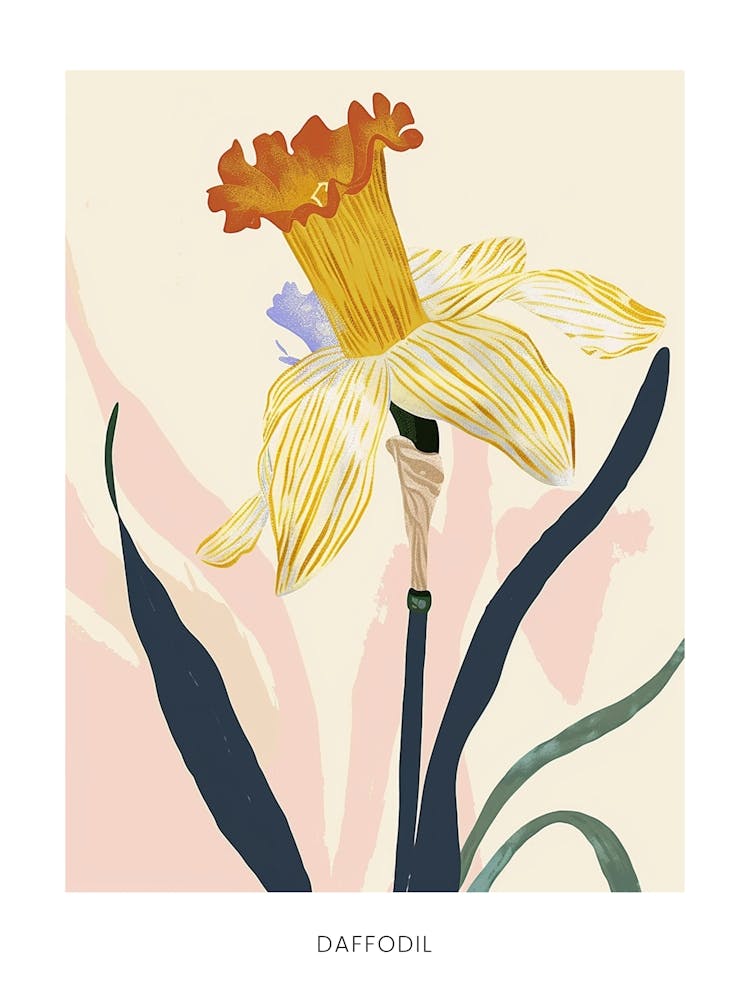 Colourful Flower Illustration Poster Daffodil 4