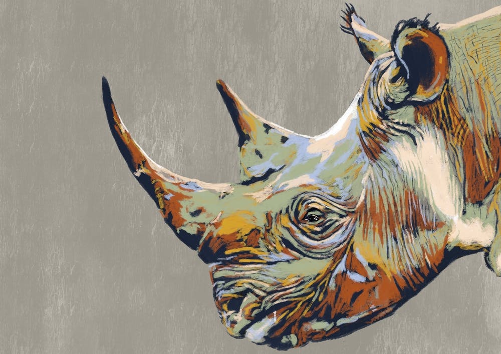 Rhino