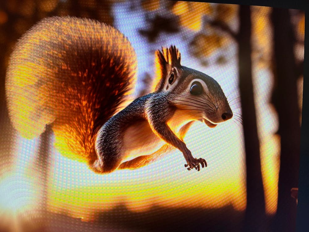 Squirrel Flying