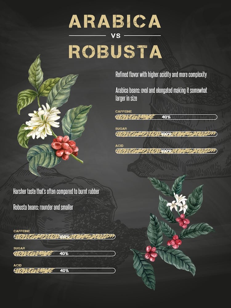 Arabica Robusta — coffee poster, kitchen art print