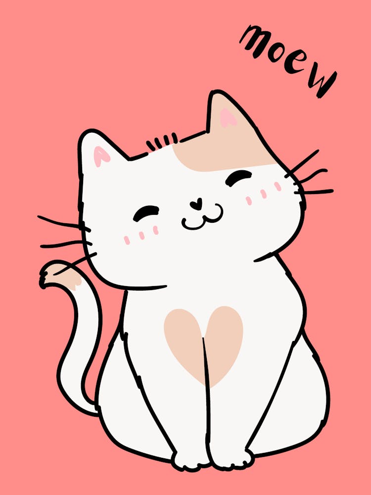 Cute Cat