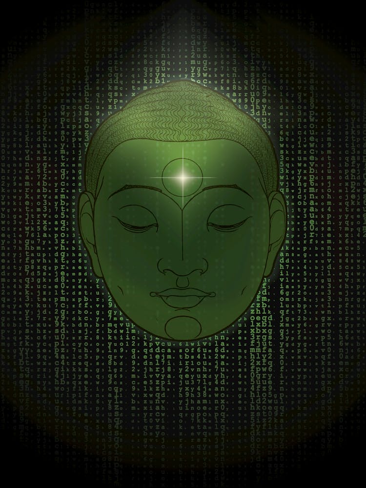 Buddha Collection - 'Matrix'