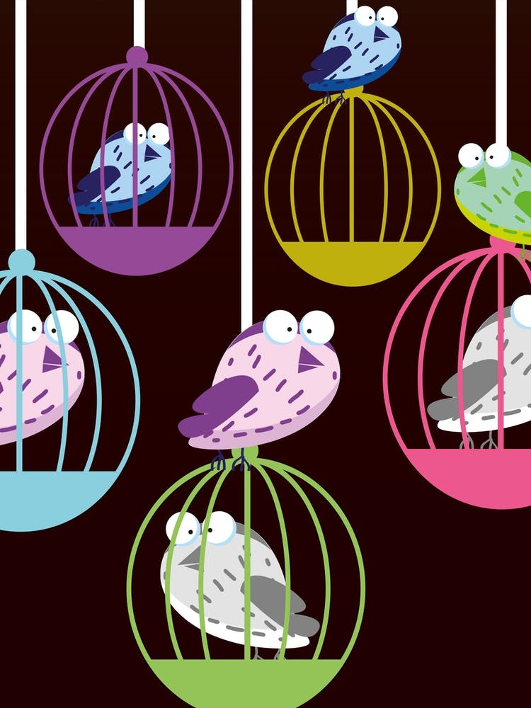 Birds In Cages