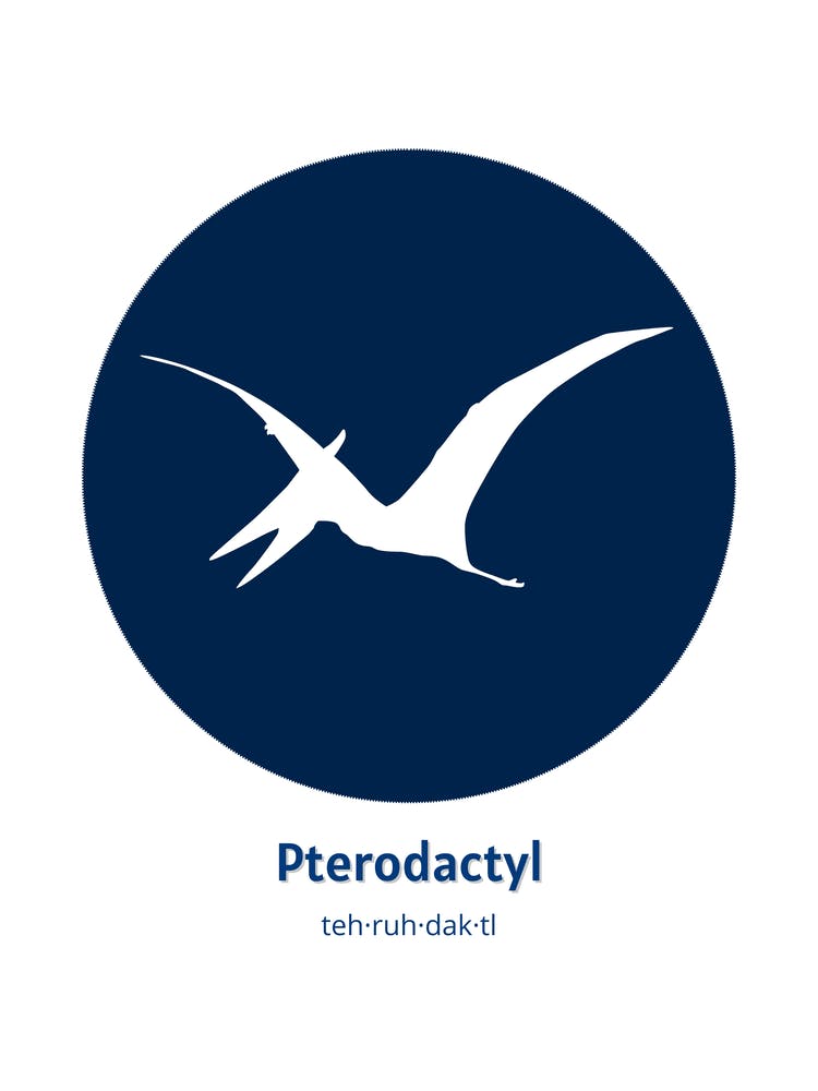 Dinosaur Pterodactyl Blue Nursery
