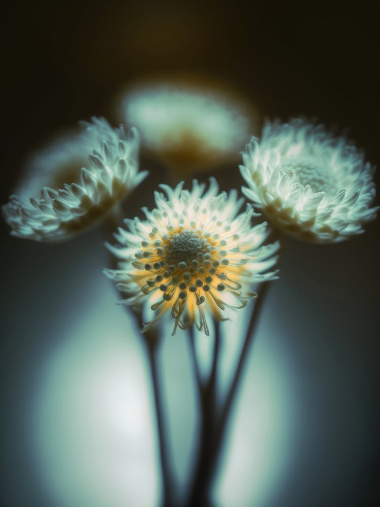 Beauty In Low Light