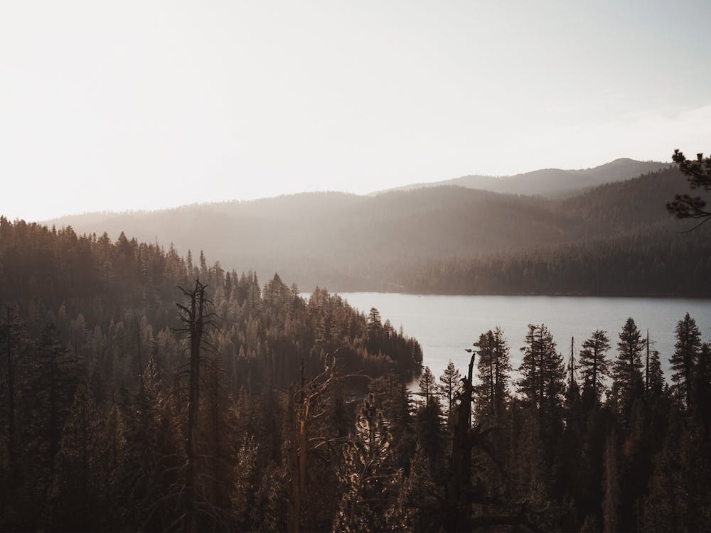 Morning Lake Scenery