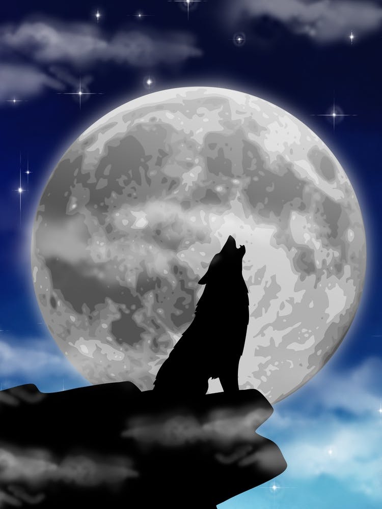 Howling Wolf