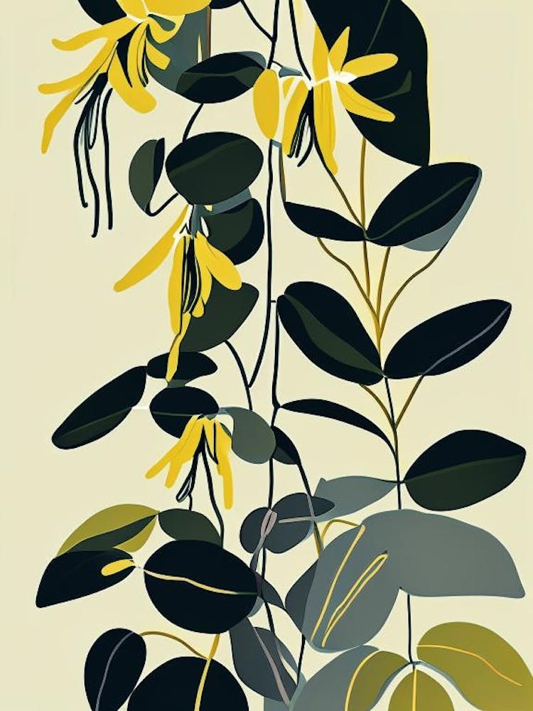 Fringed Loosestrife Wildflower Modern Muted Colours