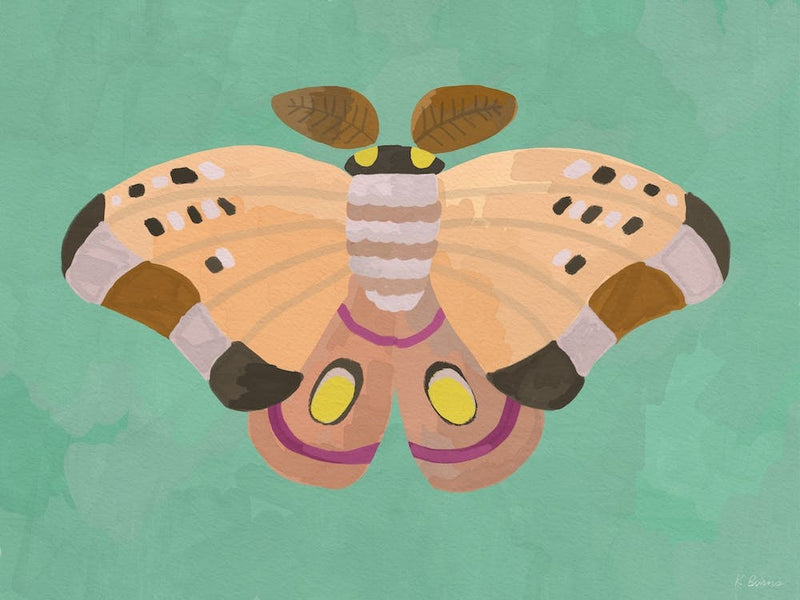 Pink Moth