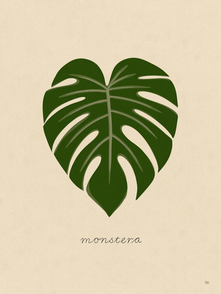 Minimalistic Monstera Leaf