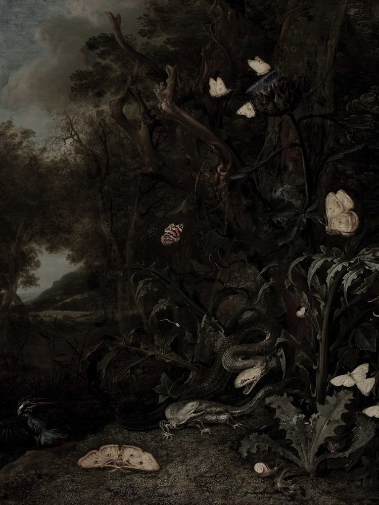 'The Lilies Of The Field'