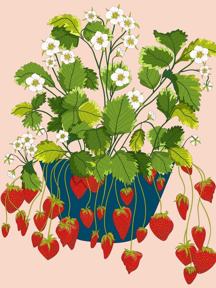 Strawberry Growing Pot