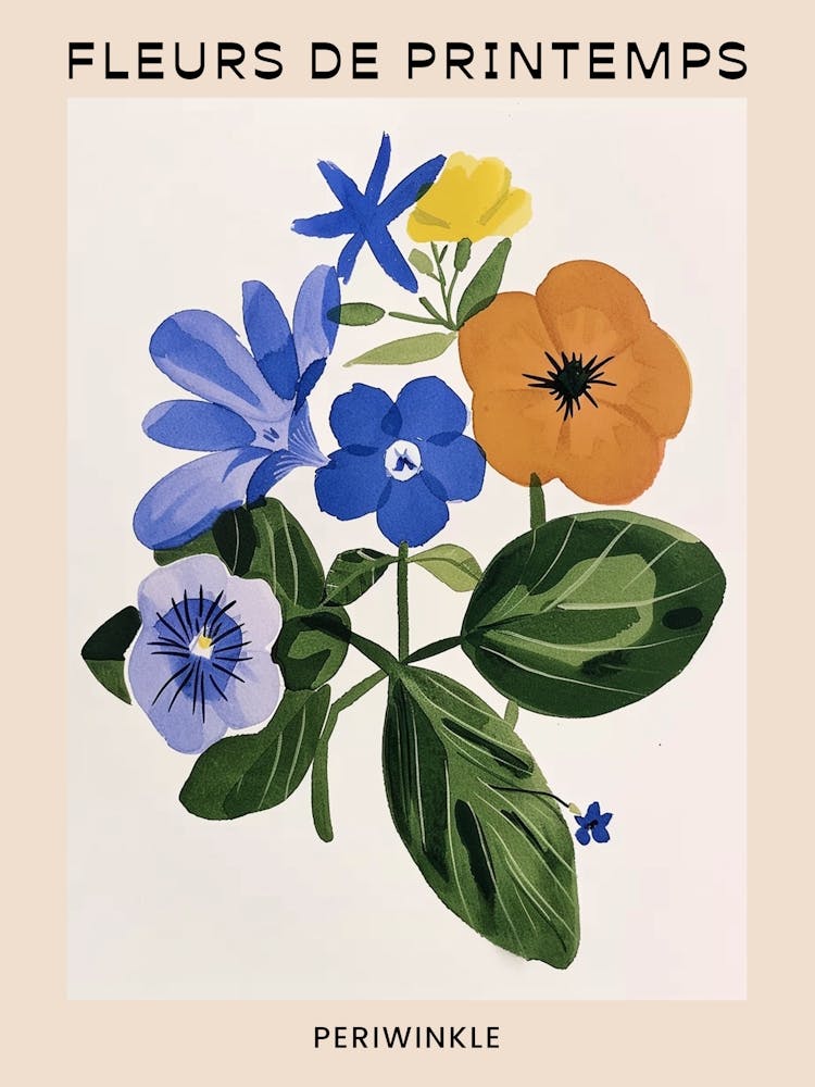 Französisches Frühlingsblumenposter Immergrün 3