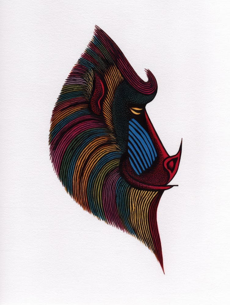 Giraffe Head 5