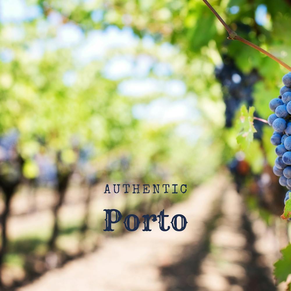 Authentic Porto