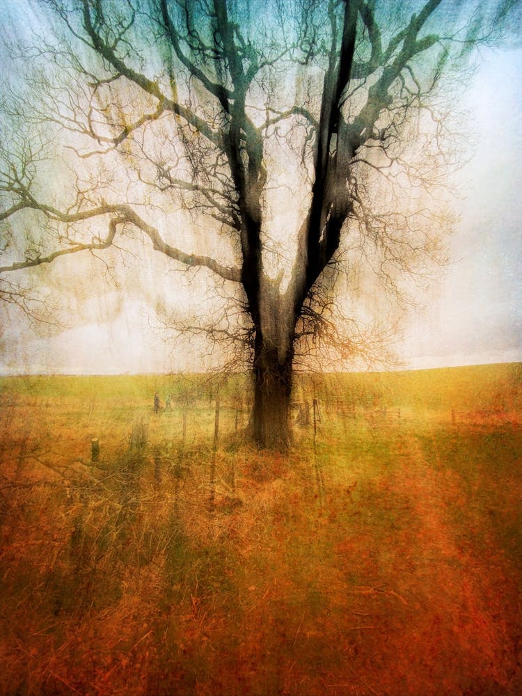 Branxton Moor Fields