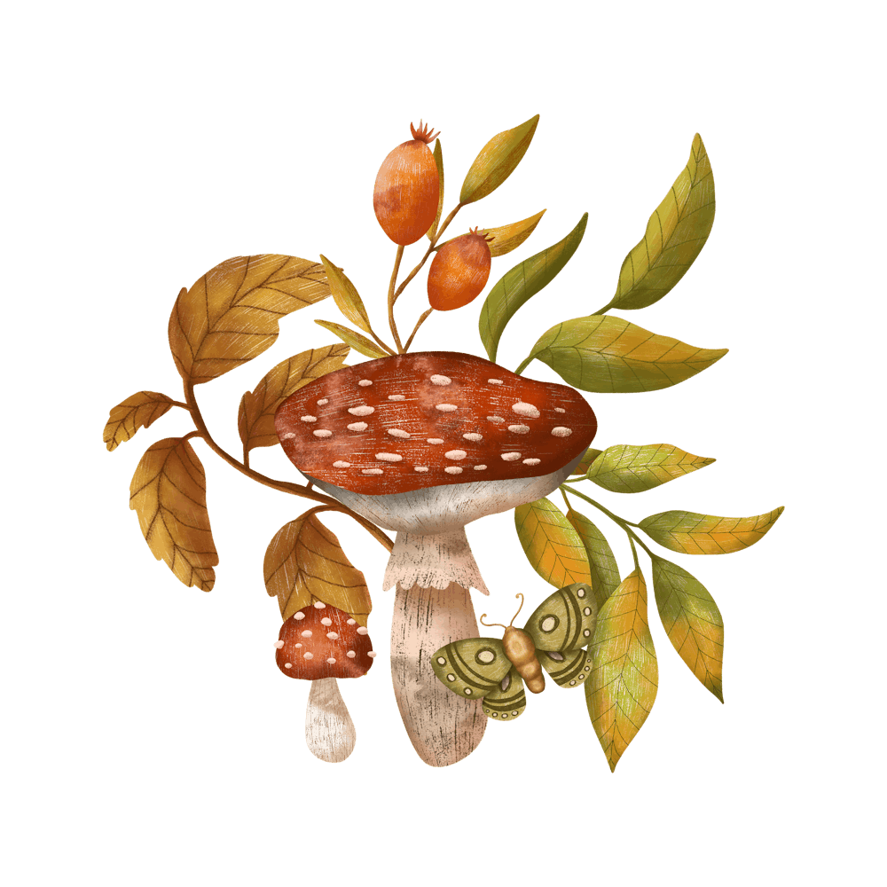 Woodland mushroom