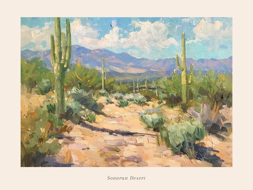 Western Landscapes Sonoran Desert Arizona 1 Poster