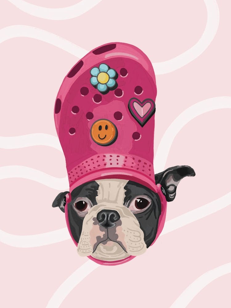 Dog In A Croc