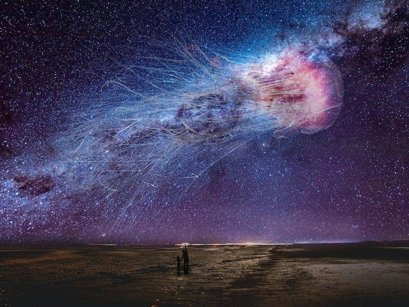 Purple Cosmic Jellyfish