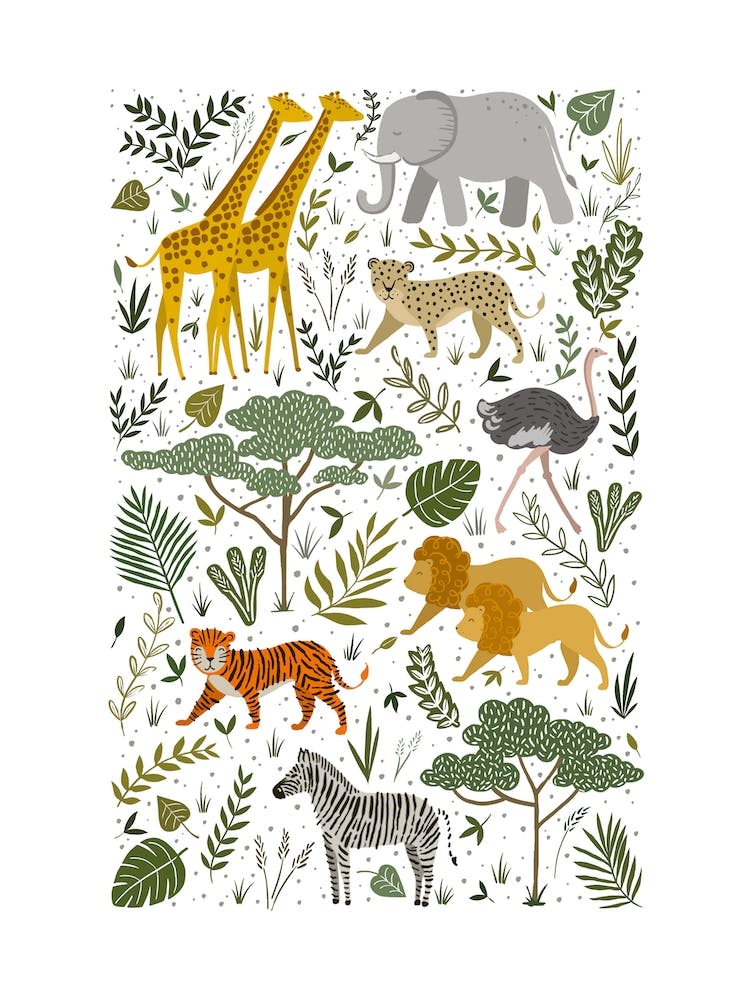 Safari