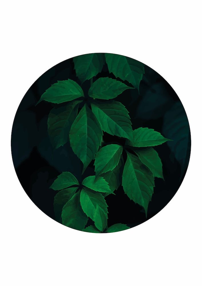 Dark Green Plant Circle