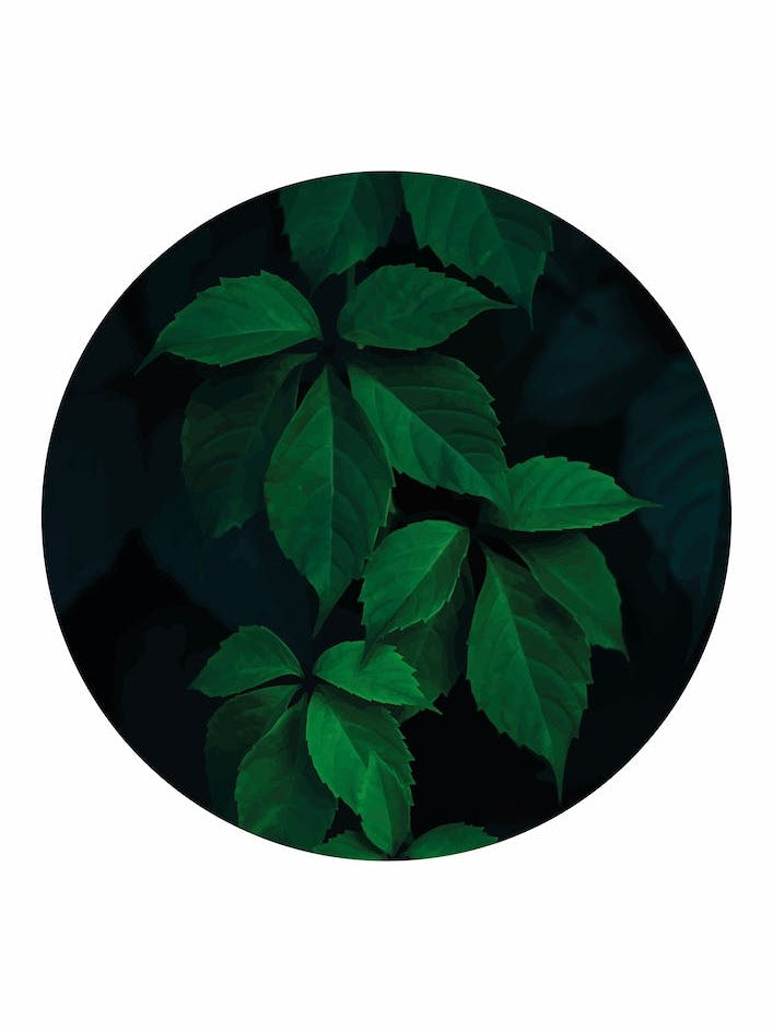 Dark Green Plant Circle