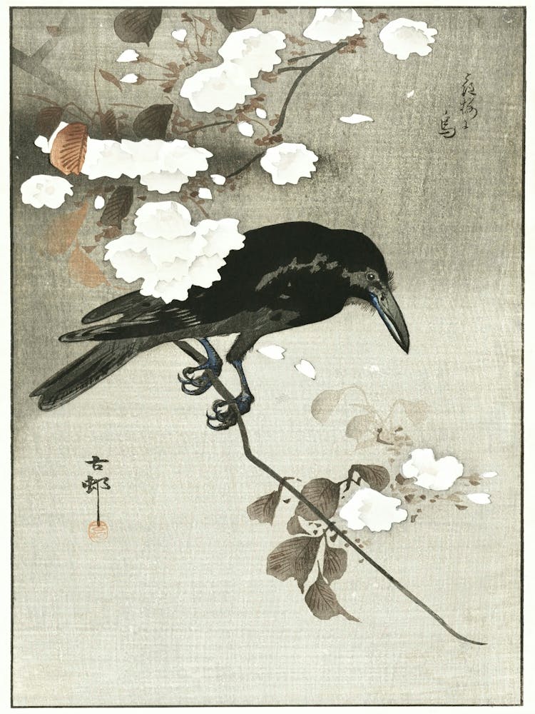 Crow With Cherry Blossom (1900 1930), Ohara Koson