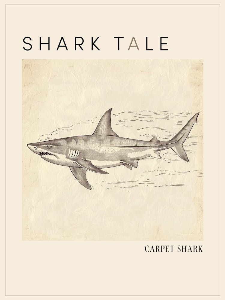 Carpet Shark Vintage Illustration 2 Poster