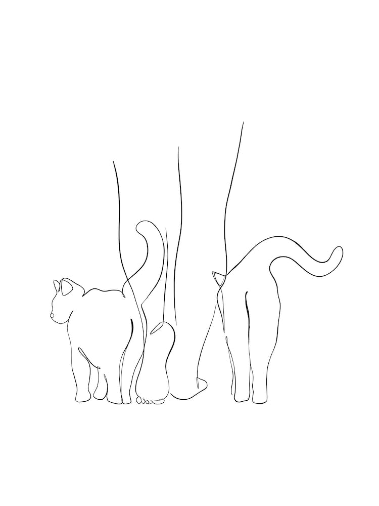 Cat Drawing Line Art