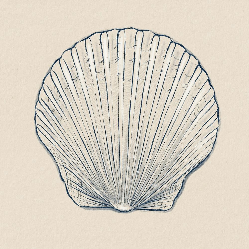 Minimalistic Seashell 