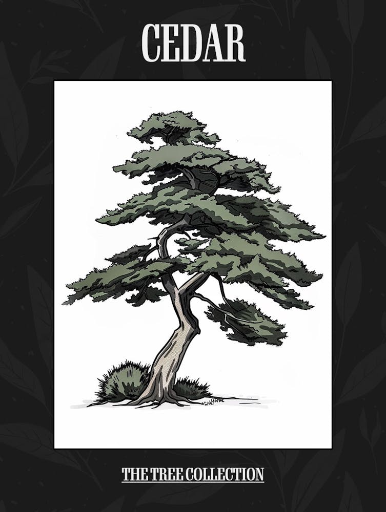 Cedar Tree Pixel Illustration 3 Poster