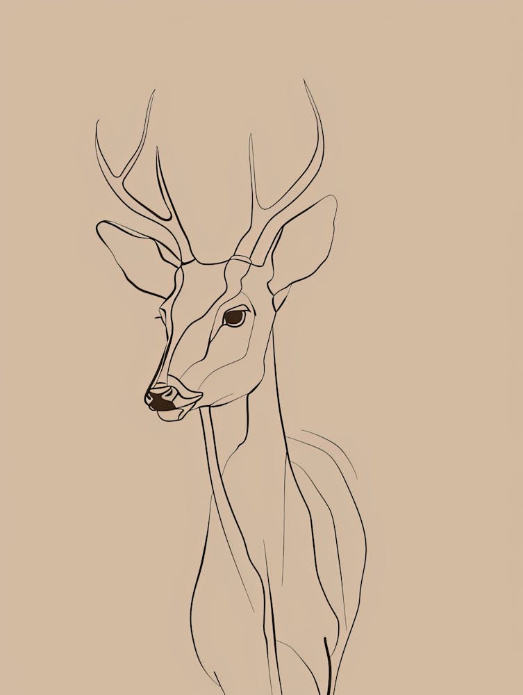 Deer Head Drawing - Boho, Line Art