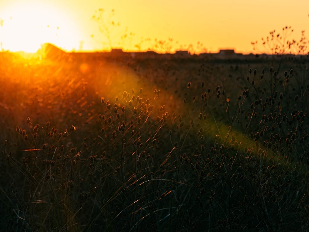 Sonnenaufgang an der Ostküste